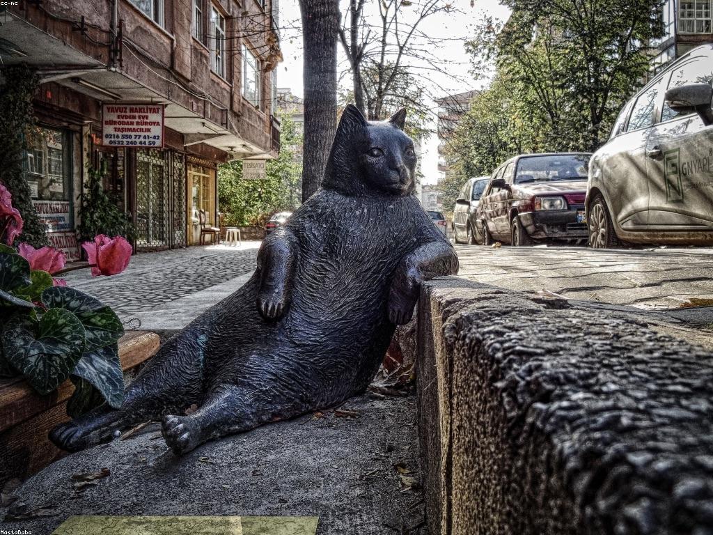 សារៈសំខាន់នៃព័ត៌មានដែលអាចចូលដល់បាន